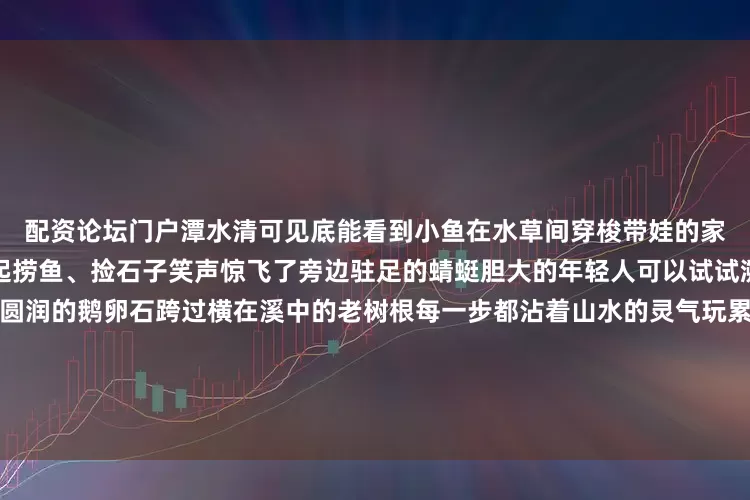 配资论坛门户潭水清可见底能看到小鱼在水草间穿梭带娃的家长不妨备个小网兜和孩子一起捞鱼、捡石子笑声惊飞了旁边驻足的蜻蜓胆大的年轻人可以试试溯溪沿着溪流往上攀爬踩着圆润的鹅卵石跨过横在溪中的老树根每一步都沾着山水的灵气玩累了就坐在路旁的休闲椅上打开一瓶畅爽的冷饮看孩子们追着蝴蝶嬉戏脑中闪现着龙门涧的传说与古今人间烟火气最抚凡人心如此良辰美景怎会少的了美食和饮品的相拥溪畔美食广场+餐厅的山野美食风暴开启