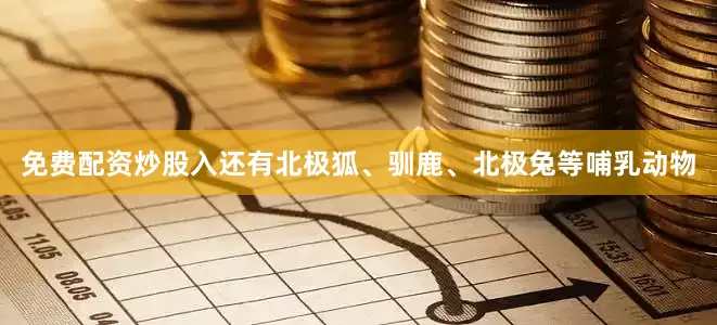 免费配资炒股入还有北极狐、驯鹿、北极兔等哺乳动物
