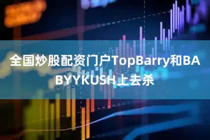 全国炒股配资门户TopBarry和BABYYKUSH上去杀